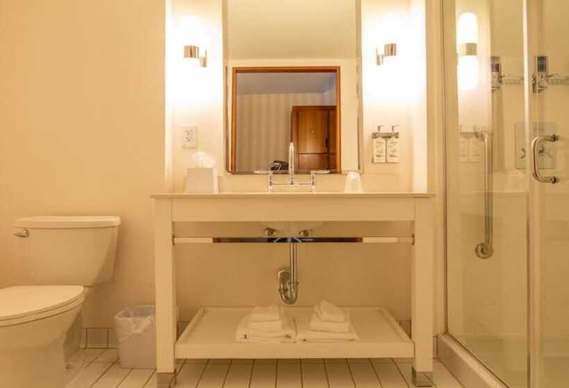 Номер Стандарт, Holiday Inn Express Columbus Airport Easton