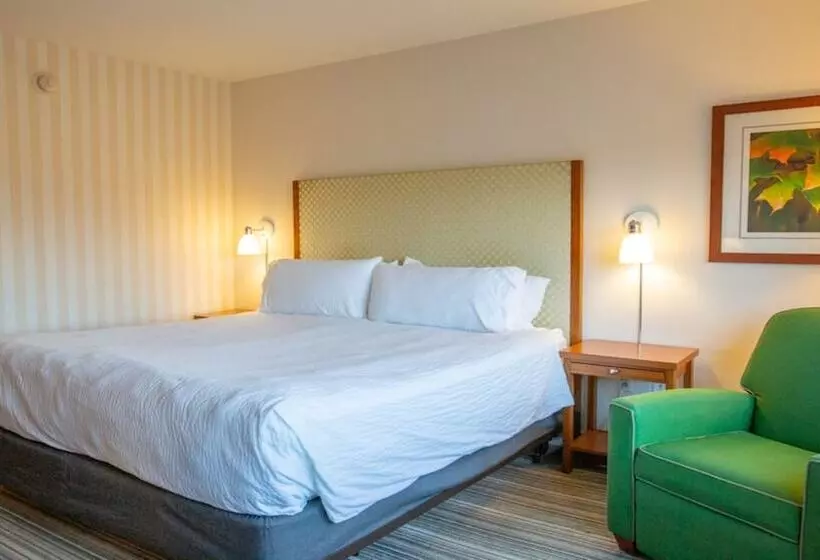 スタンダードルーム, Holiday Inn Express Columbus Airport Easton