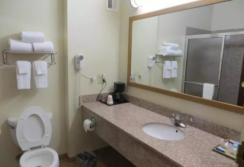 Standard-huone, Hometown Hotel Bryant