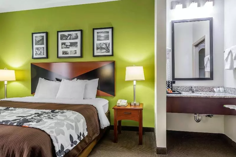 スタンダードルーム, La Quinta Inn & Suites By Wyndham Decatur