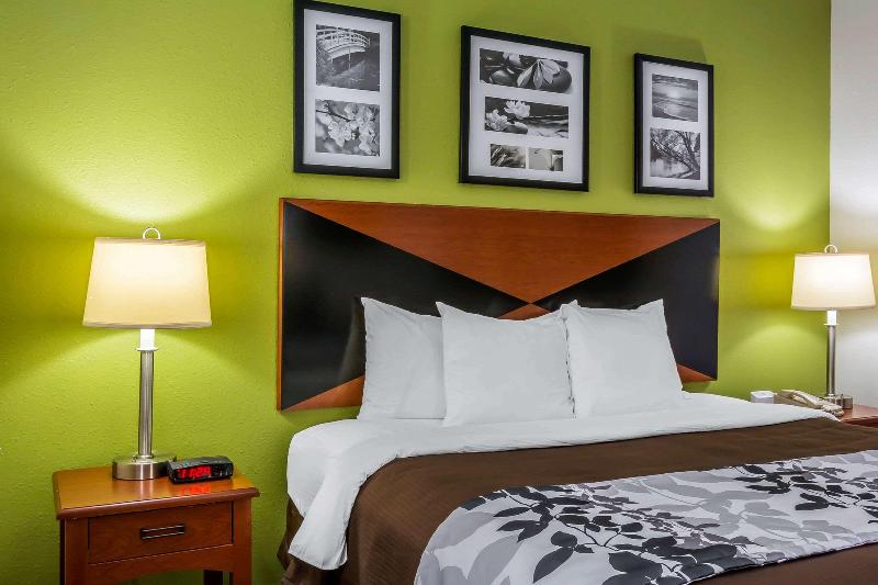 غرفة قياسية, La Quinta Inn & Suites By Wyndham Decatur