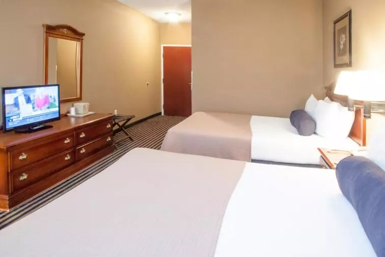 デラックスルーム, Mountain Inn & Suites Flat Rock