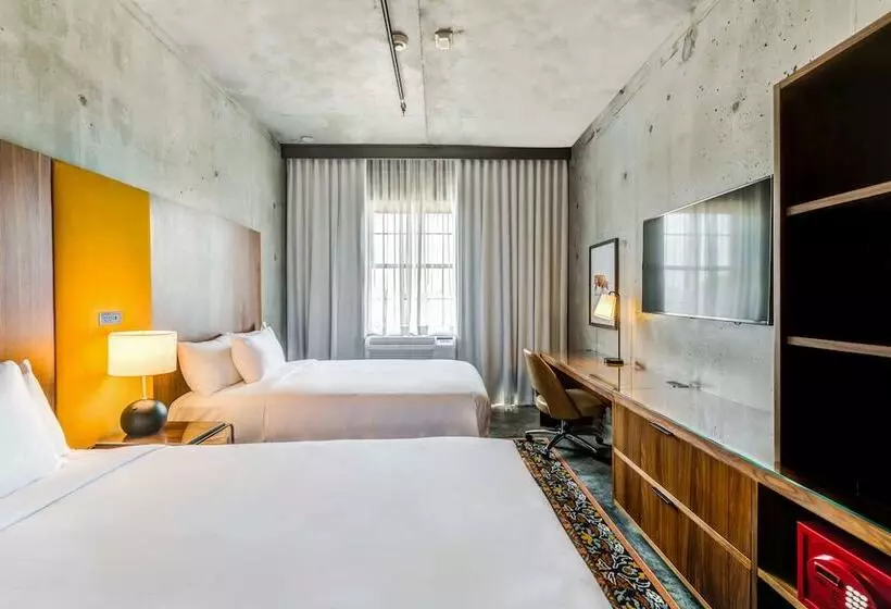 ２ダブルベッドのスタンダードルーム, Nylo Las Colinas Hotel, Tapestry Collection By Hilton