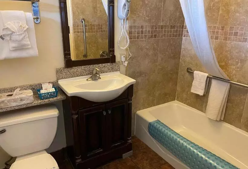 スタンダードルーム, Riverside Inn & Suites Santa Cruz
