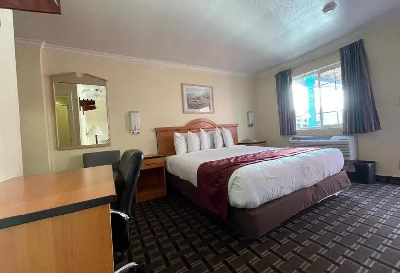 キングサイズベッドのスタンダードルーム, Riverside Inn & Suites Santa Cruz