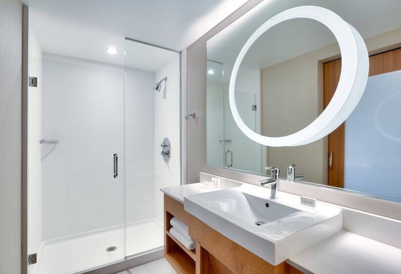 Люкс, Springhill Suites By Marriott Salt Lake City Draper
