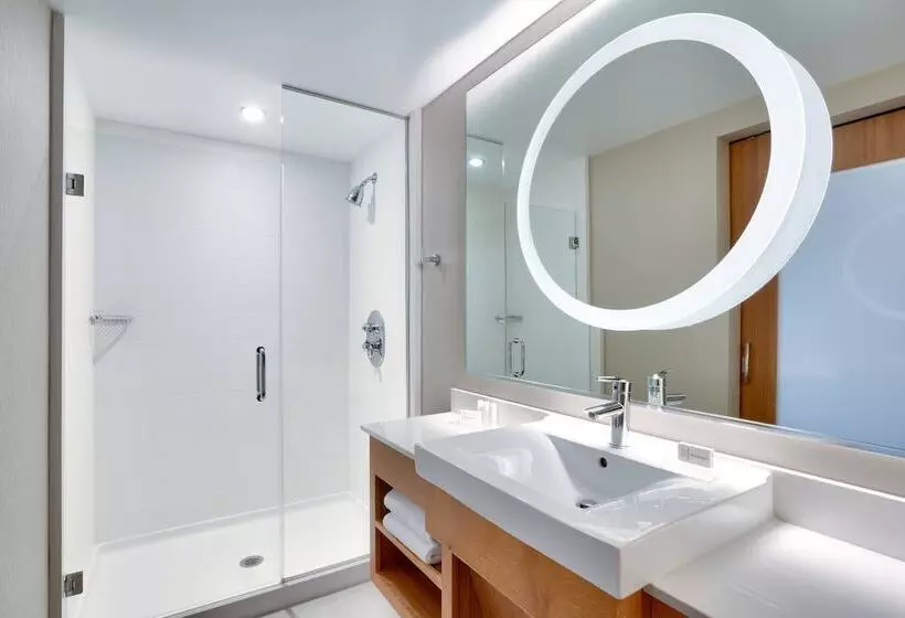 スイート, Springhill Suites By Marriott Salt Lake City Draper