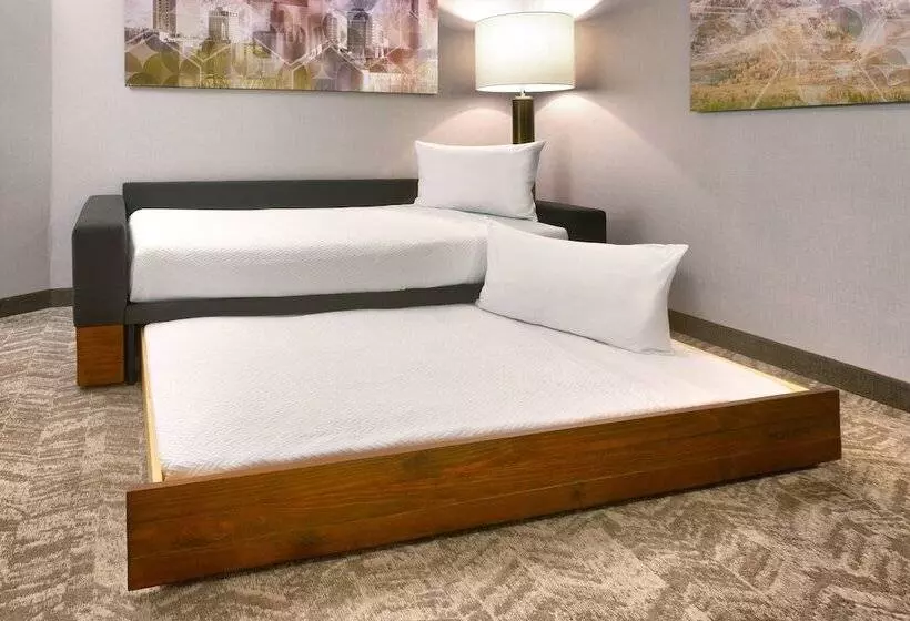 スイート, Springhill Suites By Marriott Salt Lake City Draper