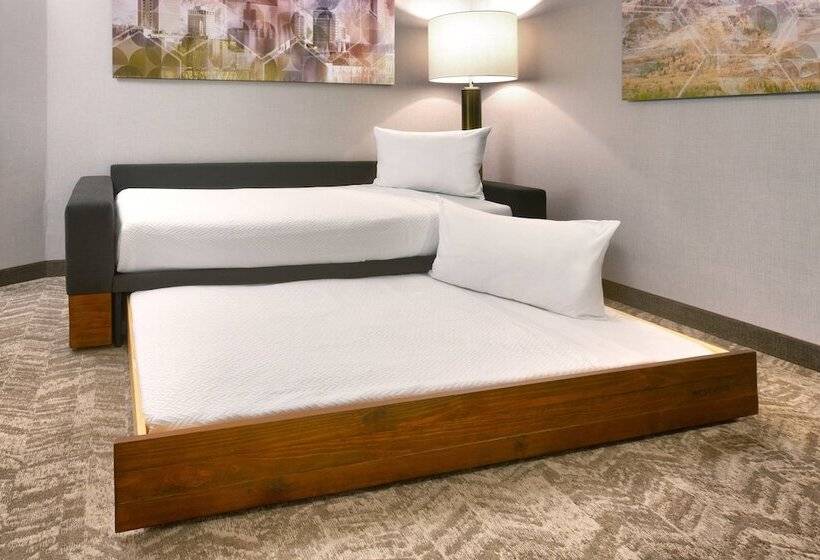 סוויטה מותאמת לאדם עם מוגבלויות, Springhill Suites By Marriott Salt Lake City Draper