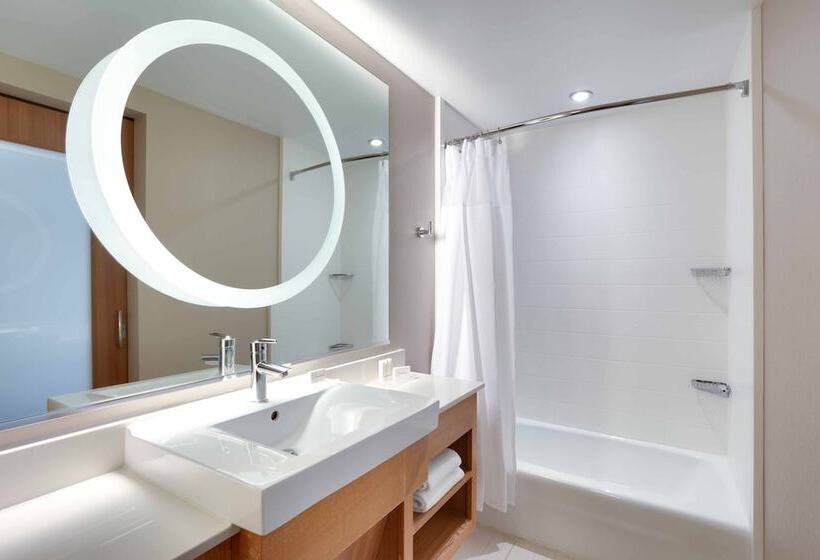 Люкс Адаптированный для Инвалидов, Springhill Suites By Marriott Salt Lake City Draper