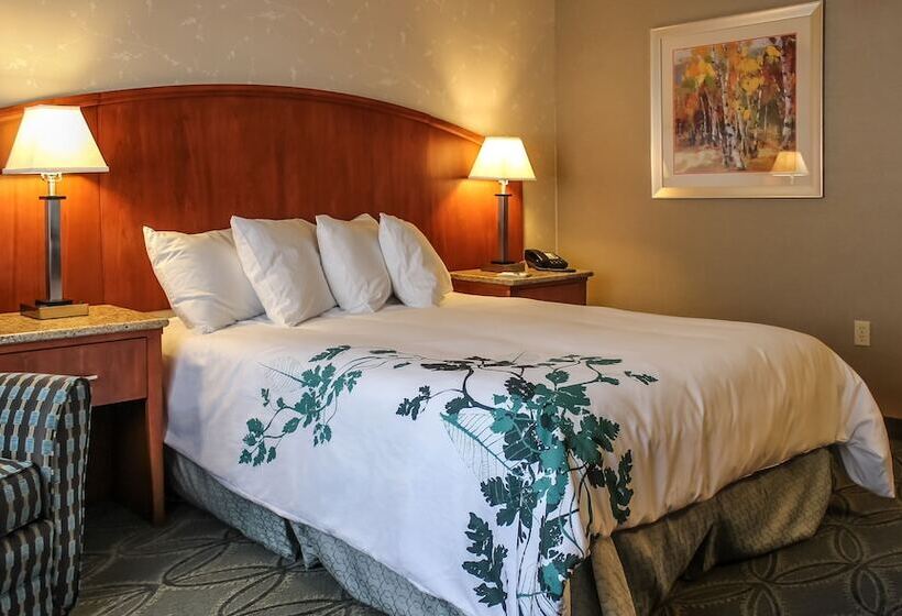 غرفة ديلوكس, Wingate By Wyndham Elkins