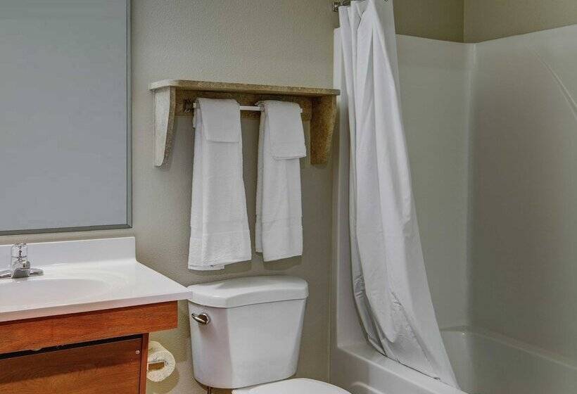 带2个双人床的标准工作室, Woodspring Suites Omaha Bellevue, An Extended Stay