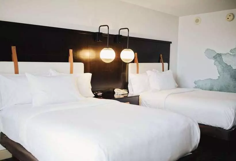 スタンダードルーム, Nylo Las Colinas Hotel, Tapestry Collection By Hilton