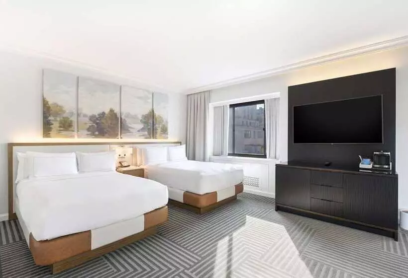 スタンダードルーム, Nylo Las Colinas Hotel, Tapestry Collection By Hilton