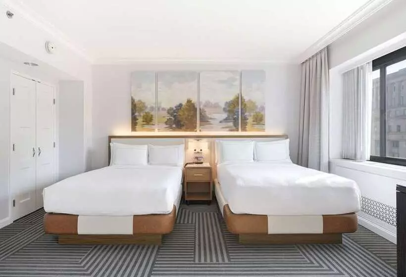 スタンダードルーム, Nylo Las Colinas Hotel, Tapestry Collection By Hilton