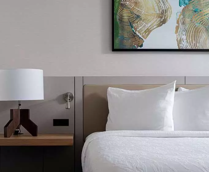 キングサイズベッドのデラックスルーム, Nylo Las Colinas Hotel, Tapestry Collection By Hilton