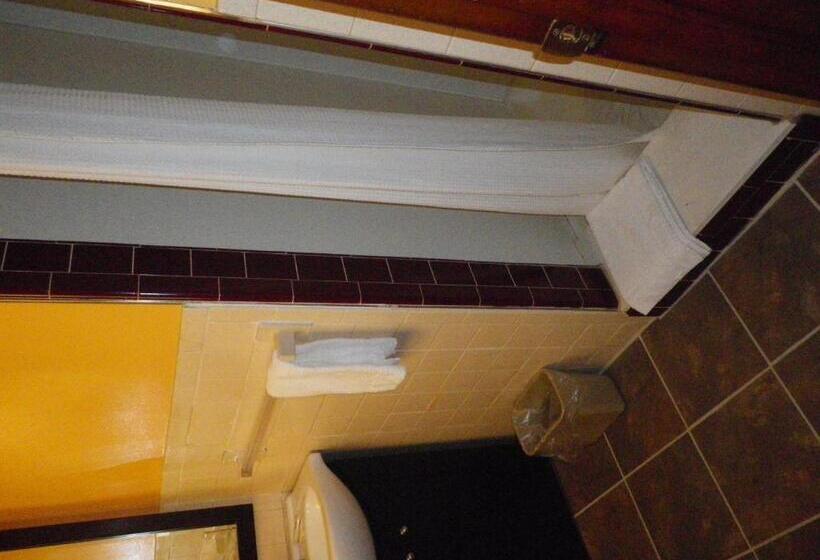 标准单人间, Red Rose Motel