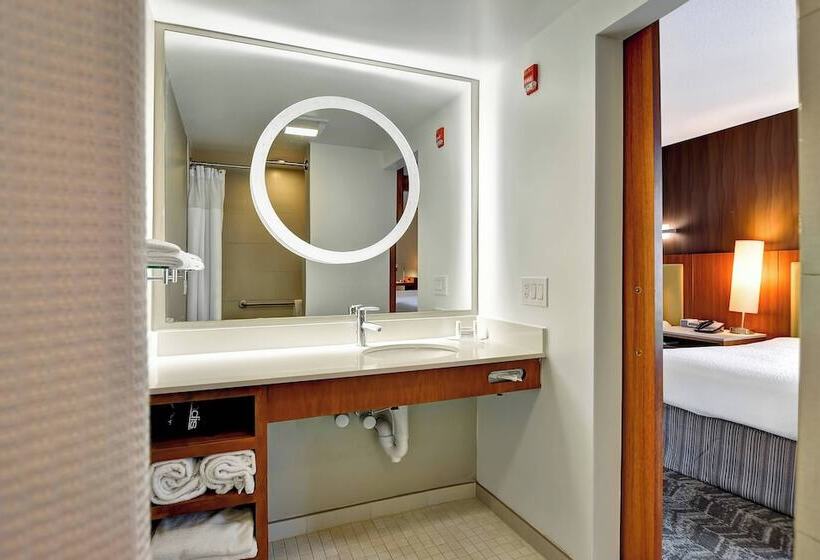 إستوديو قياسى, Springhill Suites By Marriott Columbia Fort Meade Area