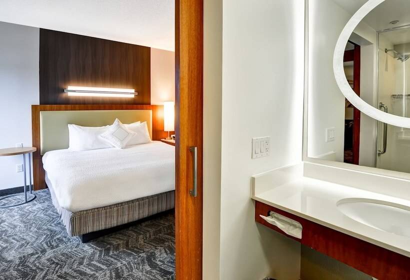 إستوديو قياسى, Springhill Suites By Marriott Columbia Fort Meade Area