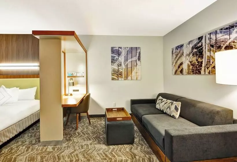 スタンダードスタジオ, Springhill Suites By Marriott Columbia Fort Meade Area
