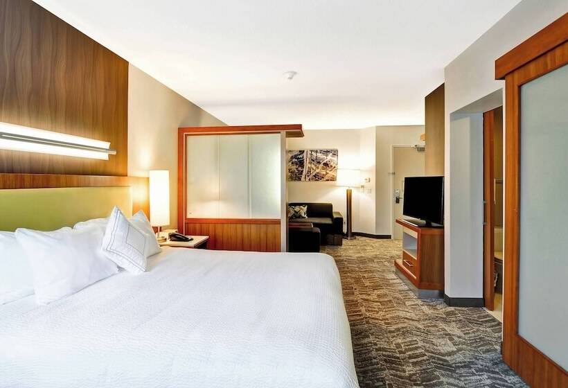 إستوديو قياسى, Springhill Suites By Marriott Columbia Fort Meade Area