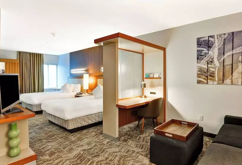 スタンダードスタジオ, Springhill Suites By Marriott Columbia Fort Meade Area