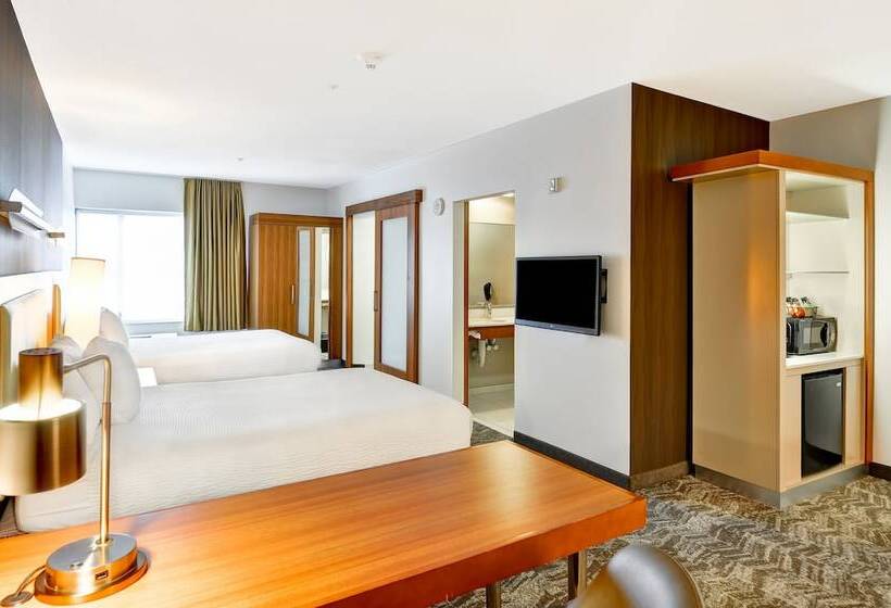 스탠다드 스튜디오, Springhill Suites By Marriott Columbia Fort Meade Area