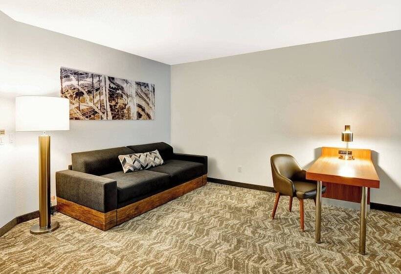 إستوديو قياسى, Springhill Suites By Marriott Columbia Fort Meade Area