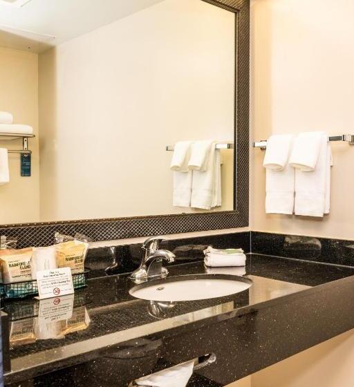 غرفة قياسية سرير كينج, Fairfield Inn & Suites By Marriott San Antonio Downtown/alamo Plaza