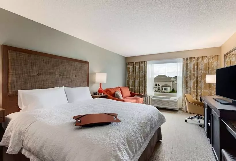 キングサイズベッドのスタンダードルーム, Hampton Inn & Suites Hershey Near The Park