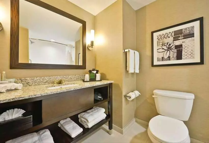 سوییت, Holiday Inn Express & Suites Utica, An Ihg