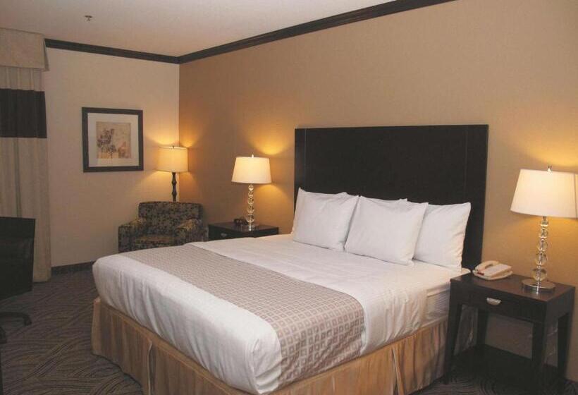 キングサイズベッドのスタンダードルーム, La Quinta Inn & Suites By Wyndham Ft Worth Burleson