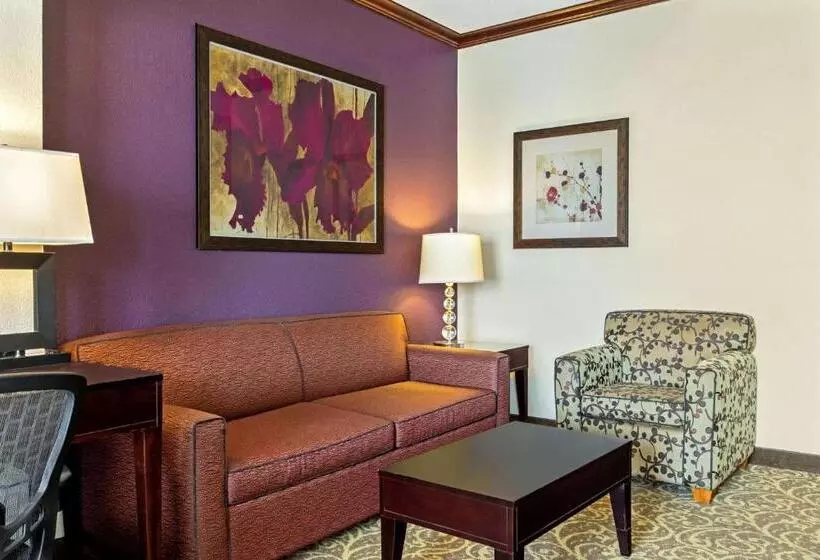 キングサイズベッドのエクゼクティブルーム, La Quinta Inn & Suites By Wyndham Ft Worth Burleson