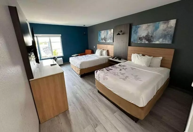 身障者適用スタンダードルーム, La Quinta Inn & Suites By Wyndham Ft Worth Burleson