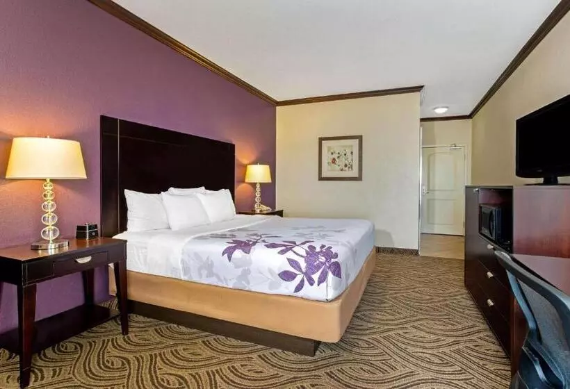 身障者適用キングサイズベッドルーム, La Quinta Inn & Suites By Wyndham Ft Worth Burleson