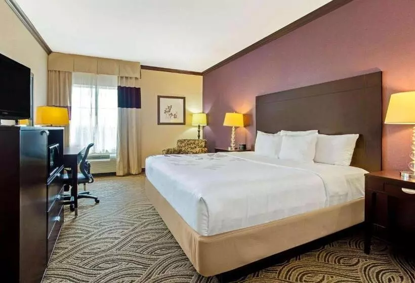 身障者適用キングサイズベッドルーム, La Quinta Inn & Suites By Wyndham Ft Worth Burleson