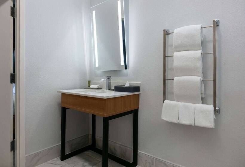 身障者適用スイートルーム, La Quinta Inn & Suites By Wyndham Ft Worth Burleson