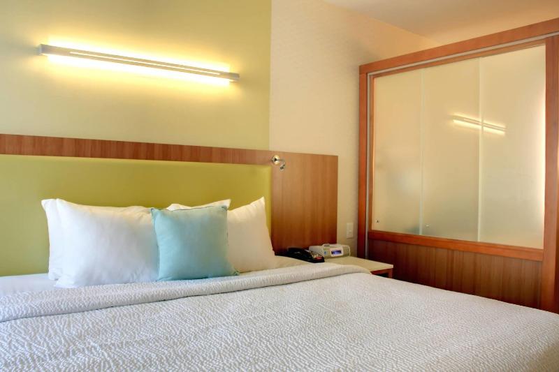 سوئیت با تخت بزرگ, Springhill Suites By Marriott Scranton Montage Mountain