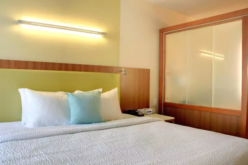 キングサイズベッドのスイートルーム, Springhill Suites By Marriott Scranton Montage Mountain