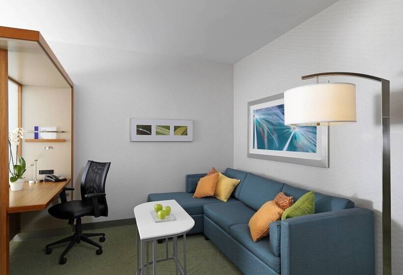 سوییت, Springhill Suites By Marriott Scranton Montage Mountain