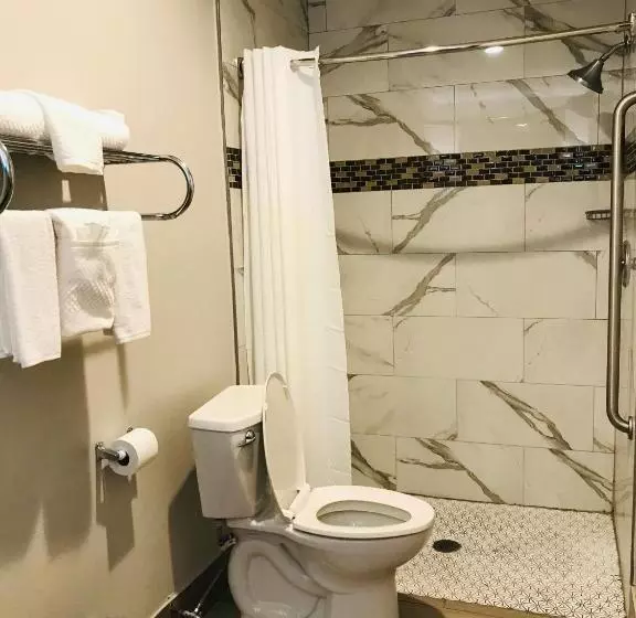 キングサイズベッドのスタンダードルーム, Summit Inn  Houston Medical Center  Nrg Park
