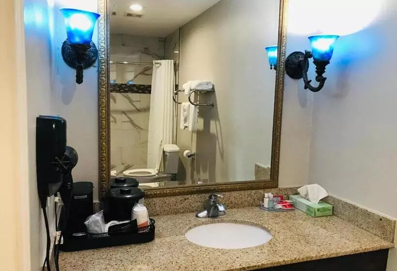 キングサイズベッドのスタンダードルーム, Summit Inn  Houston Medical Center  Nrg Park