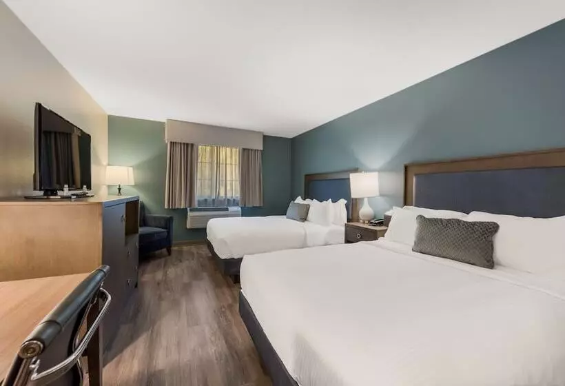 ２ダブルベッドのスタンダードルーム, Surestay Plus Hotel By Best Western Highland Poughkeepsie