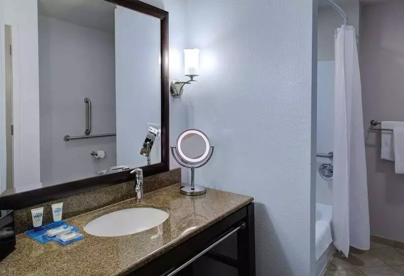 ダブルベッドのスタンダードスタジオ, Hyatt House Raleigh Durham Airport