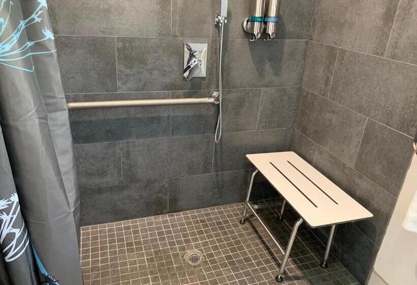 غرفة قياسية لذوى الاحتياجات الخاصة, Muir Lodge Motel