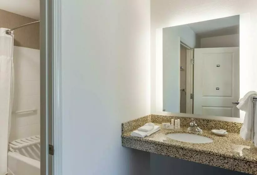 Standard-studio King-vuode, Residence Inn Duluth