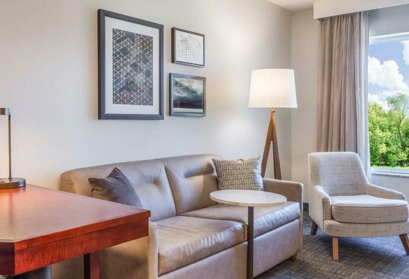 带大床的标准工作室, Residence Inn Duluth