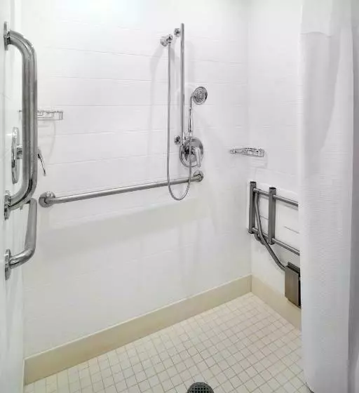 キングサイドベッドのスタンダードワンルーム, Springhill Suites By Marriott Pittsburgh Bakery Square