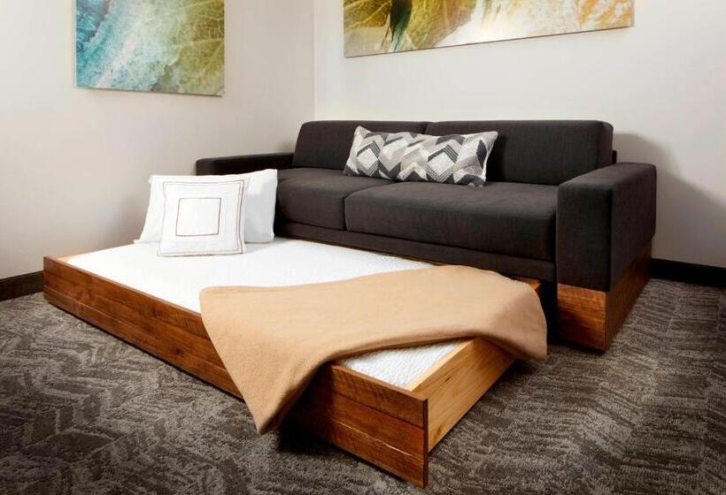 带大床的标准工作室, Springhill Suites By Marriott Pittsburgh Bakery Square