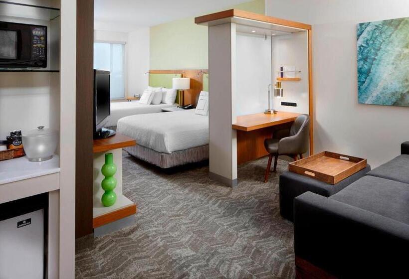 标准间, Springhill Suites By Marriott Pittsburgh Bakery Square